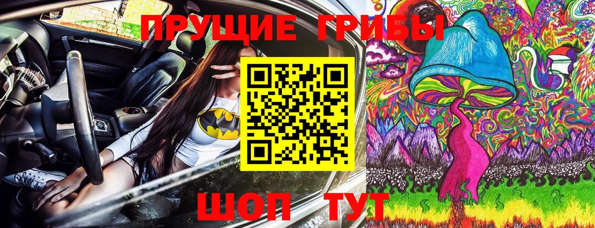 Галлюциногенные грибы прущие грибы  Вход с VPN  Котлас  Галлюциногенные грибы Psilocybe 